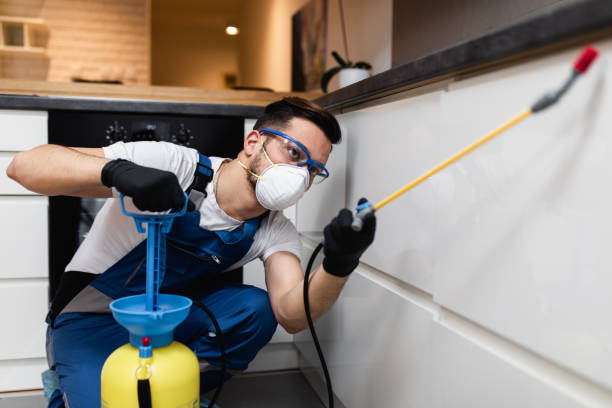 Best Exterminator Services  in Homeland, GA