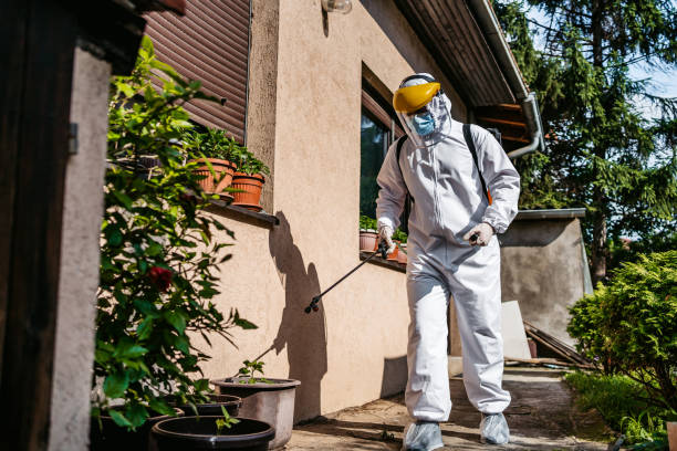 Wildlife Control Services in Homeland, GA