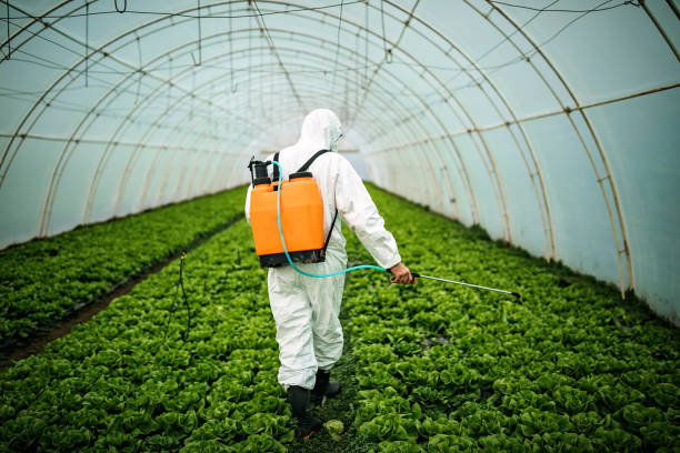 Best Affordable Pest Control Services  in Homeland, GA