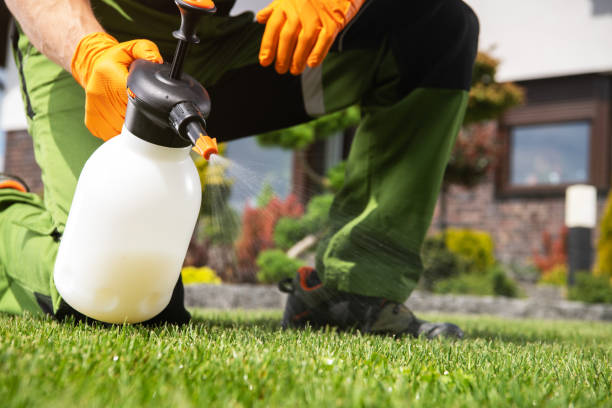 Best Commercial Pest Control Services  in Homeland, GA