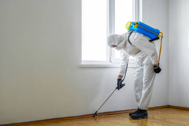 Best Best Pest Control Companies  in Homeland, GA