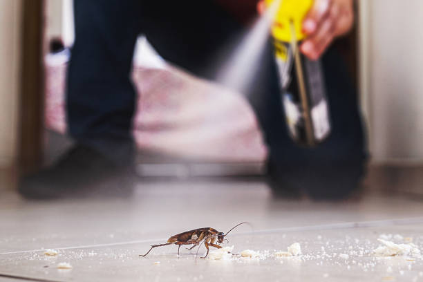 Pest Control for Restaurants in Homeland, GA