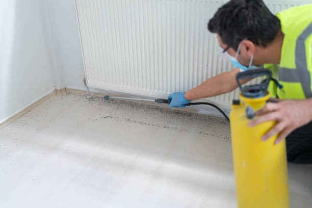 Best Ant Control Services  in Homeland, GA